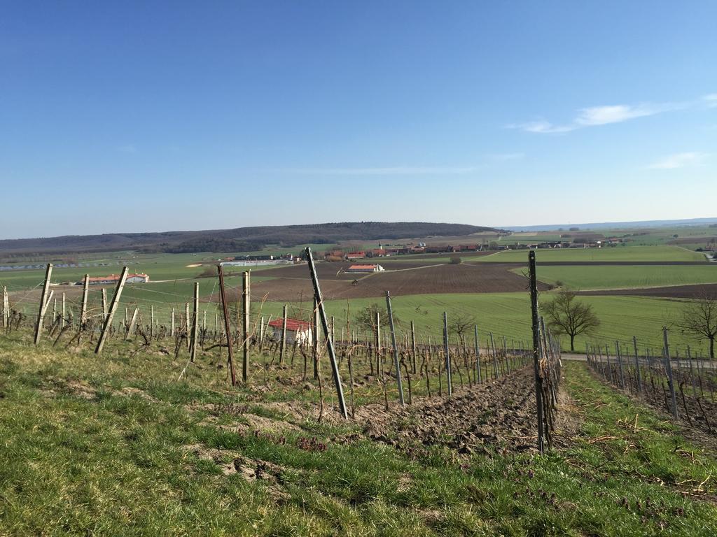 Landgasthof Zum Schwarzen Adler Markt Nordheim Exterior foto